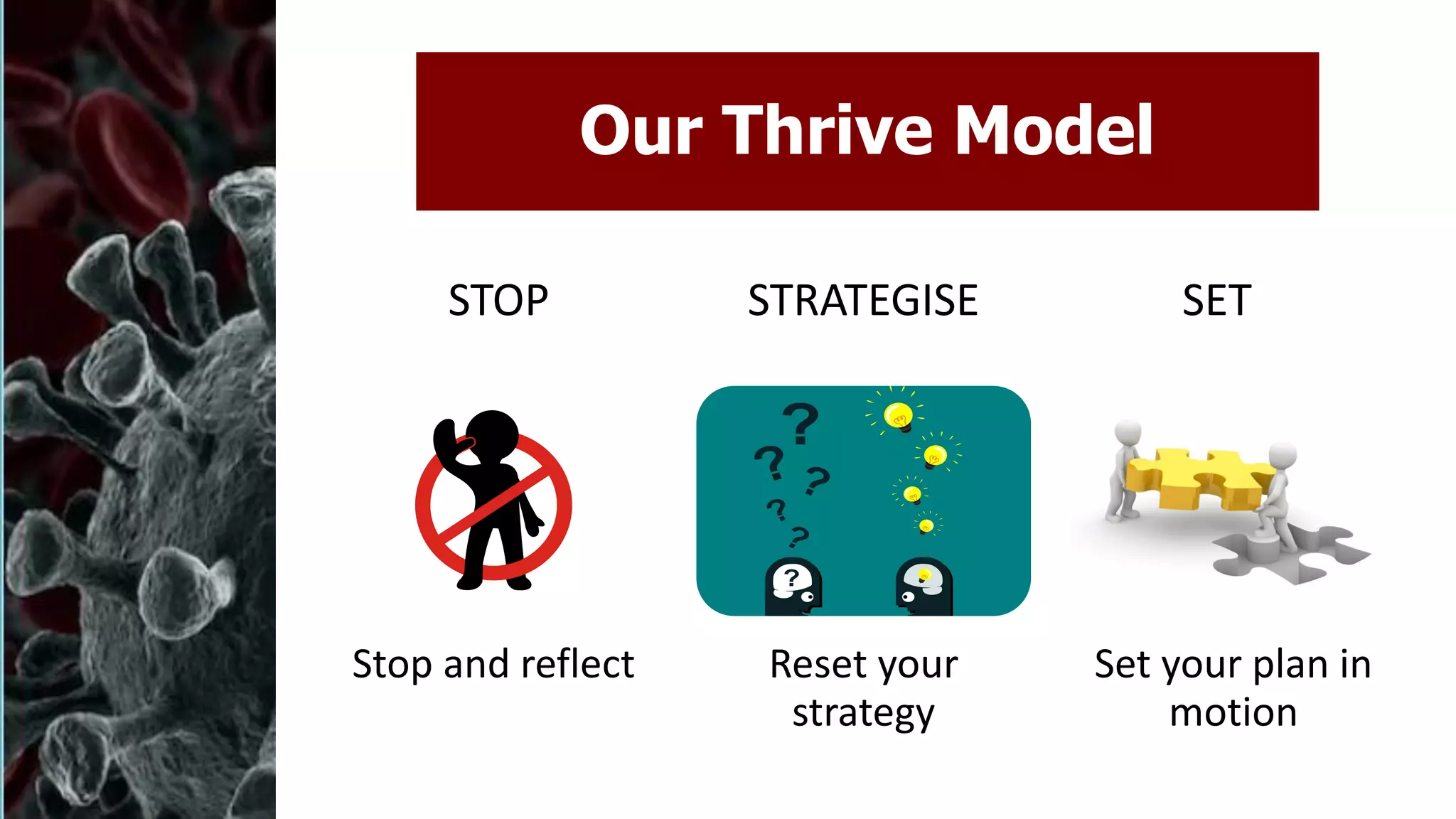 Slide 7