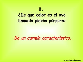 8. ¿De que color es el ave llamada pinzón púrpura ? De un carmín característico. www.tonterias.com 