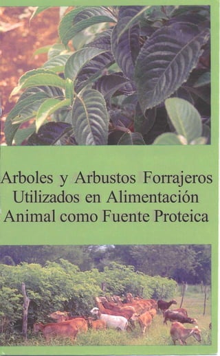 Arboles y Arbustos Forrajeros
Utilizados en Alimentación
Animal como Fuente Proteica
 