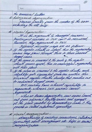 Biopsychology Assignment BPCC 102 - IGNOU