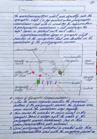 Biopsychology Assignment BPCC 102 - IGNOU