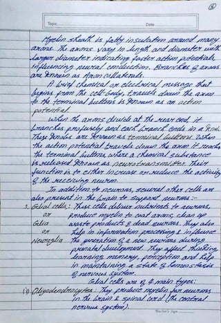 Biopsychology Assignment BPCC 102 - IGNOU