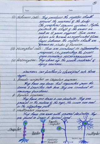 Biopsychology Assignment BPCC 102 - IGNOU