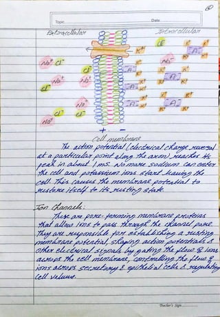 Biopsychology Assignment BPCC 102 - IGNOU