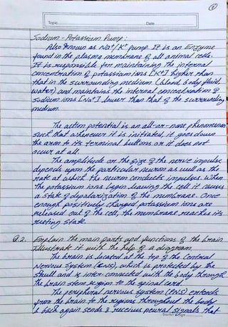 Biopsychology Assignment BPCC 102 - IGNOU