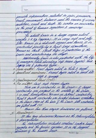 Biopsychology Assignment BPCC 102 - IGNOU