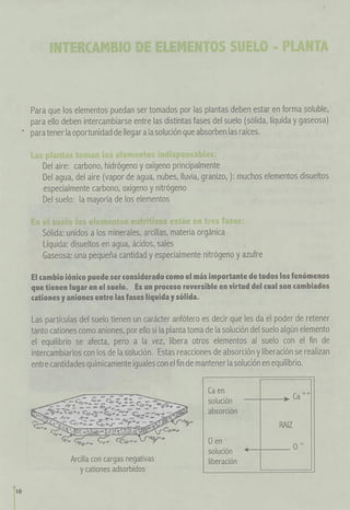  propiedades de los suelos