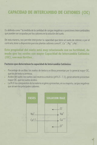  propiedades de los suelos