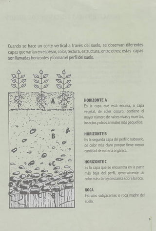  propiedades de los suelos