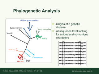 Phylogenetic Analysis Origins of a genetic disease At sequence level looking for unique and non-unique characters S. Wain-Hobson. (1998). 1959 and all that  Nature  391: 531-532.   