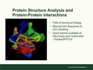 Protein Structure Analysis and Protein-Protein Interactions Field of structural biology Moving from Sequence to 3-D modeling Good tutorial available at: http://www.usm.maine.edu/~rhodes/SPVTut/ 