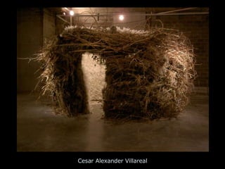 Cesar Alexander Villareal