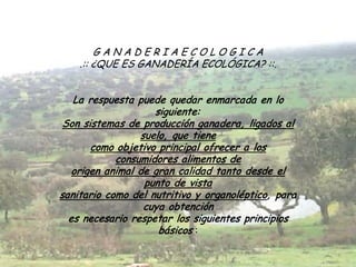 GANADERIAECOLOGICA
    .:: ¿QUE ES GANADERÍA ECOLÓGICA? ::.


   La respuesta puede quedar enmarcada en lo
                    siguiente:
 Son sistemas de producción ganadera, ligados al
                 suelo, que tiene
       como objetivo principal ofrecer a los
            consumidores alimentos de
   origen animal de gran calidad tanto desde el
                  punto de vista
sanitario como del nutritivo y organoléptico, para
                  cuya obtención
  es necesario respetar los siguientes principios
                     básicos :
 