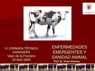 VI JORNADA TÉCNICA       ENFERMEDADES
     GANADERA            EMERGENTES Y
  Vejer de la Frontera
                         SANIDAD ANIMAL
     28 Abril 2006       Prof. Dr. Víctor Briones
 