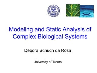Modeling and Static Analysis of
 Complex Biological Systems

     Débora Schuch da Rosa

         University of Trento
 