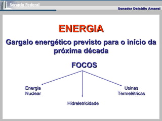 Senador Delcídio AmaralSenador Delcídio Amaral
Gargalo energético previsto para o início daGargalo energético previsto par...
