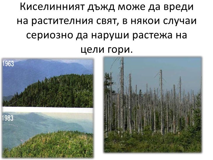 Киселинен дъжд