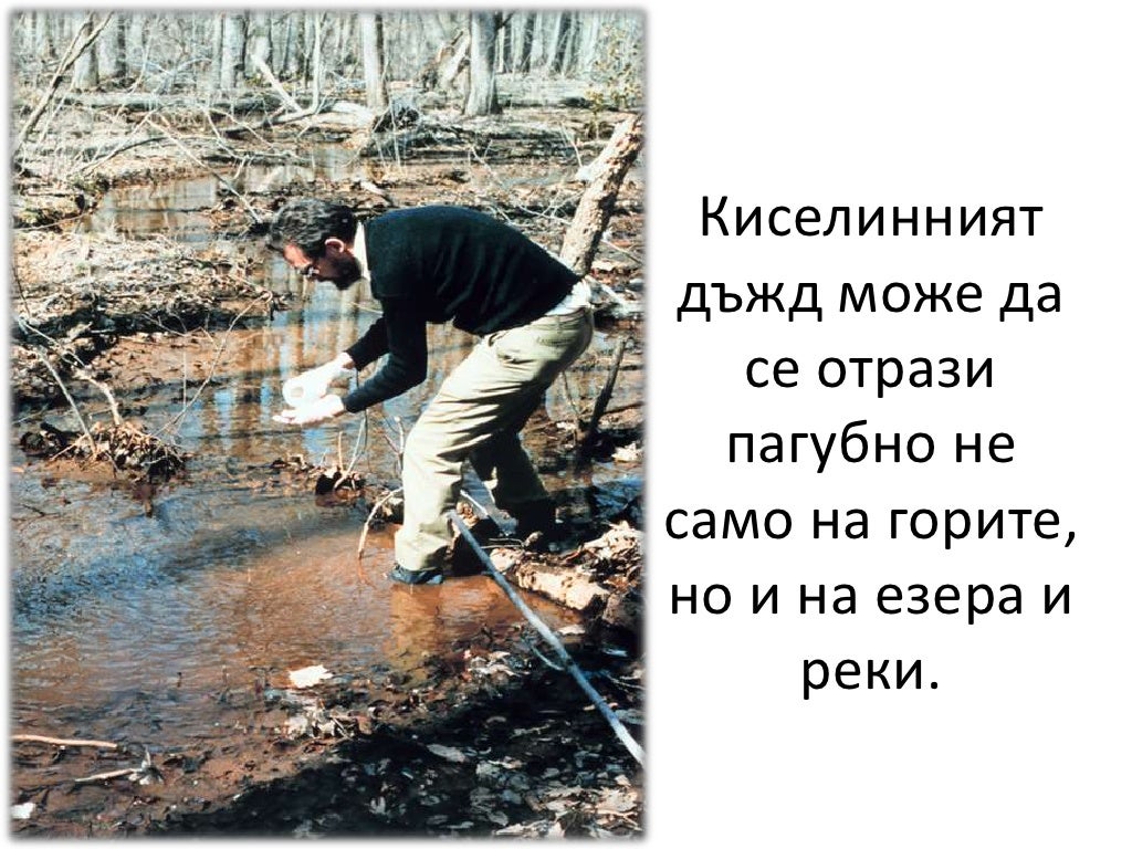 Киселинен дъжд