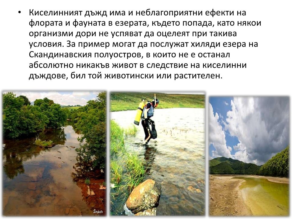 Киселинен дъжд