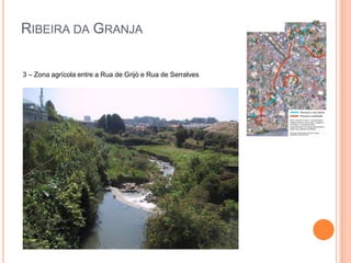 Ribeira da Granja3 – Zona agrícola entre a Rua de Grijó e Rua de Serralves