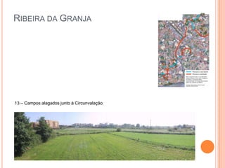 Ribeira da Granja13 – Campos alagados junto à Circunvalação
