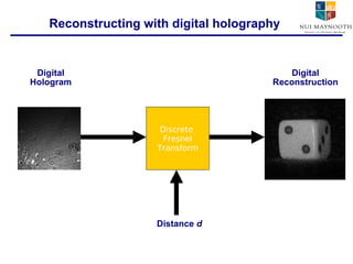 Reconstructing with digital holography Discrete  Fresnel Transform Digital Hologram Digital Reconstruction Distance  d 