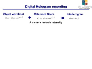 Digital Hologram recording Object wavefront Reference Beam Interferogram A camera records intensity + = 