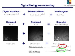 Digital Hologram recording CCD Object wavefront Reference Beam Interferogram + = Recorded Recorded Recorded + + = + = + = Objects Amplitude Objects Phase 