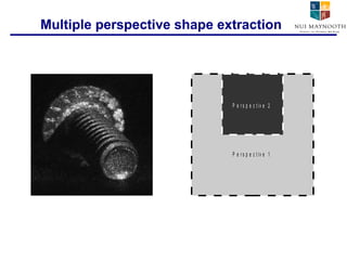 Multiple perspective shape extraction 