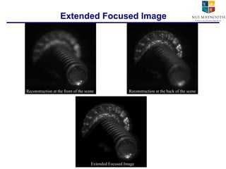 Extended Focused Image Reconstruction at the front of the scene Reconstruction at the back of the scene Extended Focused Image 