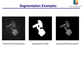 Segmentation Examples Numerical Reconstruction Segmentation Mask Segmented Reconstruction 