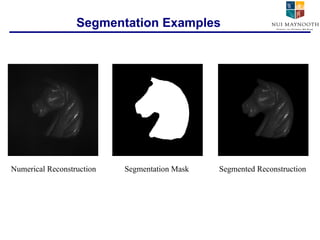 Segmentation Examples Numerical Reconstruction Segmentation Mask Segmented Reconstruction 