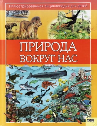 природа вокруг нас. иллюстрированная энциклопедия для детей (клэр, 2007)