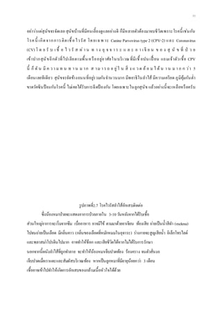 11
อย่าว่าแต่สุนัขจรจัดเลย สุนัขบ้านที่มีคนเลี้ยงดูแลอย่างดี ก็มีหลายตัวต้องมาจบชีวิตเพราะโรคนี้เช่นกัน
โรคนี้ เกิดจากการติดเชื้อไวรัส โดยเฉพ าะ Canine Parvovirus type 2 (CPV-2) และ Coronavirus
(CV) โ ด ย รั บ เ ชื้ อ ไ ว รั ส ผ่ า น ท า ง อุ จ จ า ร ะ แ ล ะ อ า เ จี ย น ข อ ง สุ นั ข ที่ ป่ ว ย
เข้าปากสุนัขอีกตัวที่ไปเลียตามพื้นหรืออยู่อาศัยในบริเวณที่มีเชื้ อปนเปื้ อน แถมเจ้าตัวเชื้อ CPV
นี้ ก็ ดั น มี ค ว า ม ท น ท า น ม าก ส าม า ร ถ อ ยู่ใ น สิ่ ง แ ว ด ล้ อ ม ไ ด้ น า น ม า ก ก ว่า 5
เดือนเลยทีเดียว สุนัขจรจัดข้างถนนที่อยู่รวมกันจานวนมาก มีพยาธิในลาไส้ มีความเครียด ภูมิคุ้มกันต่า
ขาดวัคซีนป้ องกันโรคนี้ ไม่เคยได้รับการฉีดป้ องกัน โดยเฉพาะในลูกสุนัข แล้วอย่างนี้จะเหลือหรือครับ
รูปภาพที่2.7 โรคไวรัสลาไส้อักเสบติดต่อ
ซึ่งน้องหมาป่วยจะแสดงอาการป่วยภายใน 3-10วันหลังจากได้รับเชื้อ
ส่วนใหญ่อาการจะเริ่มจากซึม เบื่ออาหาร อาจมีไข้ ตามมาด้วยอาเจียน ท้องเสีย ถ่ายเป็นน้าสีดา (melena)
ไปจนถ่ายเป็นเลือด มีกลิ่นคาว (กลิ่นของเลือดที่หมักหมมในอุจาระ) ร่างกายจะสูญเสียน้า อิเล็กโทรไลด์
และพลาสม่าโปรตีนไปมาก อาจทาให้ช็อก และเสียชีวิตได้หากไม่ได้รับการรักษา
นอกจากนี้ผนังลาไส้ที่ถูกทาลาย จะทาให้น้องหมาเจ็บปวดท้อง ร้องคราง จนตัวสั่นงอ
เจ็บปวดเมื่อเราแตะและสัมผัสบริเวณท้อง หากเป็นลูกหมาที่มีอายุน้อยกว่า 3 เดือน
เชื้ออาจเข้าไปทาให้เกิดการอักเสบของกล้ามเนื้อหัวใจได้ด้วย
 