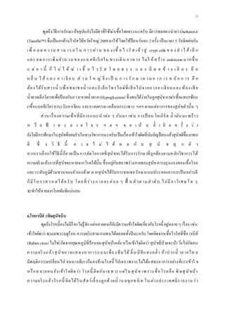 12
พูดถึงวิธีการรักษา ปัจจุบันยังไม่มียาที่ใช้ฆ่าเชื้อโดยตรงนะครับ มีการทดลองนายา Oseltamivir
(Tamiflu™) ซึ่งเป็นยาต้านไวรัสไข้หวัดใหญ่2009มาใช้โดยใช้ป้อนวันละ 2ครั้ง เป็นเวลา 5วันติดต่อกัน
เพื่ อ ล ด ค ว าม ส าม าร ถ ใ น ก า ร ผ่าน ข อ ง เชื้ อ ไ ว รั ส เข้ าสู่ crypt cells ข อ ง ล าไ ส้ เล็ ก
และ ลดการเพิ่มจาน วน ของแบ คที เรี ยใน ทาง เดิน อาห าร ไม่ใ ห้ส ร้าง endotoxin มากขึ้ น
แ ต่ ย า นี้ ก็ ไ ม่ ไ ด้ ฆ่ า เ ชื้ อ ไ ว รั ส โ ด ย ต ร ง แ ล ะ มี ผ ล ข้ า ง เ คี ย ง คื อ
ค ลื่ น ไ ส้ แ ล ะ อ า เ จี ย น ส่ ว น ใ ห ญ่ จึ ง เ ป็ น ก าร รั ก ษ าต า ม อ า ก าร ห ลั ก ก าร คื อ
ต้อง ได้รับสารน้ าเพื่อชดเช ยน้ าและอิเล็กโทรไลด์ที่เสี ยไปจากการอาเจียน และท้อง เสี ย
น้าตาลเด็กโตรสเพื่อป้ องกันภาวะขาดน้าตาล(Hypoglycemia) ซึ่งพบได้ง่ายในลูกสุนัขยาฆ่าเชื้อแทรกซ้อน
(เชื้อแบคทีเรีย) ยาระงับอาเจียน และยาลดกรด-เคลือบกระเพาะ ฯลฯ ตามแต่อาการของสุนัขตัวนั้น ๆ
ส่วน เรื่องความเชื่อที่มีการแนะน าต่อ ๆ กันมา เช่น การป้ อน โยเกิร์ต น้ ามัน มะพร้าว
ห รื อ ฟ้ า ท ะ ล า ย โ จ ร ฯ ล ฯ ข อ เ น้ น ย้ า อี ก ค รั้ ง ว่ า
ยังไม่มีการศึกษาในสุนัขที่ยอมรับในทางวิชาการนะครับเป็นเรื่องเข้าใจผิดที่บังเอิญป้อนแล้วสุนัขดีขึ้นมาพอ
ดี ซึ่ ง วิ ธี นี้ อ า จ ไ ม่ ไ ด้ ผ ล กั บ สุ นั ข ทุ ก ตั ว
หากเราเลือกใช้วิธีนี้ก็อาจเป็นการตัดโอกาสที่สุนัขจะได้รับการรักษาที่ถูกต้องตามหลักวิชาการได้
ความจริงแล้วการที่สุนัขจะหายจากโรคได้นั้น ขึ้นอยู่กับสภาพร่างกายของสุนัข ความรุนแรงของเชื้อโรค
และระดับภูมิต้านทานของตัวเองด้วย หากสุนัขได้รับการชดเชย รักษาแบบประคองอาการเป็นอย่างดี
ก็มีโอ กาส รอ ดได้ค รับ โดยที่ ร่าง ก ายจะ ค่อย ๆ ฟื้ น ตัวต ามลาดับ ไม่มียาวิเศษ ใ ด ๆ
จะทาให้หายจากโรคทันทีแน่นอน
6.โรคเรบีส์ (พิษสุนัขบ้า)
พูดถึงโรคนี้คงไม่มีใครไม่รู้จัก แต่หลายคนก็ยังมีความเข้าใจผิดเกี่ยวกับโรคนี้อยู่หลายๆ เรื่อง เช่น
เข้าใจผิดว่า พบเฉพาะฤดูร้อน ความจริงสามารถพบได้ตลอดทั้งปีนะครับ โดยติดจากเชื้อไวรัสที่ชื่อ เรบีส์
(Rabiesvirus) ไม่ใช่เกิดจากอุณหภูมิที่ร้อนจนสุนัขบ้าคลั่ง หรือเข้าใจผิดว่า สุนัขที่ป่วยจะบ้า วิ่งไล่กัดคน
ความจริงแล้วสุ นัขอาจแสดงอาการแบบเซื่องซึมได้ ลิ้น มีสีแดงคล้ า อ้าปากน้ าลายไห ล
มีพฤติกรรมเปลี่ยนไป จนบางทีเราก็มองข้ามโรคนี้ ไปเลย เพราะไม่ได้แสดงอาการอย่างที่เราเข้าใ จ
หรือห ลายคน ยังเข้าใจผิดว่า โรคนี้ ติดกันเฉพ าะ แต่ใน สุนัข เพ ราะชื่อโรคคือ พิษสุ นัขบ้า
ความจริงแล้วโรคนี้ ติดได้ในสัตว์เลี้ ยงลูกด้วยน้ าน มทุกช นิ ด ใน ต่างประเทศมีรายงานว่า
 