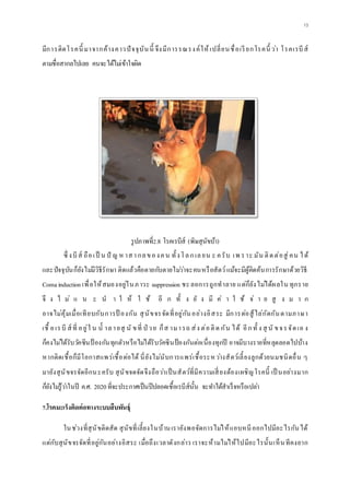 13
มีการติดโรคนี้ มาจากค้างคาวปัจจุบันนี้ จึงมีการรณรงค์ให้เปลี่ยนชื่อเรียกโรคนี้ ว่า โรคเรบีส์
ตามชื่อสากลไปเลย คนจะได้ไม่เข้าใจผิด
รูปภาพที่2.8 โรคเรบีส์ (พิษสุนัขบ้า)
ซึ่ งบีส์ ถือเป็ น ปั ญ ห าสากลของคน ทั้งโลกเลยน ะ ครับ เพ ราะ มัน ติดต่อสู่คน ได้
และปัจจุบันก็ยังไม่มีวิธีรักษา ติดแล้วคือตายกับตายไม่ว่าจะคนหรือสัตว์แม้จะมีผู้คิดค้นการรักษาด้วยวิธี
Comainduction เพื่อให้สมองอยู่ในภาวะ suppression ชะลอการถูกทาลาย แต่ก็ยังไม่ได้ผลใน ทุกราย
จึ ง ไ ม่ แ น ะ น า ใ ห้ ใ ช้ อี ก ทั้ ง ยั ง มี ค่ า ใ ช้ จ่ า ย สู ง ม า ก
อาจไม่คุ้มเมื่อเทียบกับการป้ องกัน สุนัขจรจัดที่อยู่กันอย่างอิสระ มีการต่อสู้ไล่กัดกันตามภาษา
เชื้ อเรบี ส์ ที่ อยู่ใ น น้ าลายสุ นั ขที่ ป่ วย ก็ส ามารถ ส่ง ต่อติด กัน ได้ อีกทั้ ง สุ นั ขจรจัดเอ ง
ก็คงไม่ได้รับวัคซีนป้ องกันทุกตัวหรือไม่ได้รับวัคซีนป้องกันต่อเนื่องทุกปี อาจมีบางรายที่หลุดลอดไปบ้าง
หากติดเชื้อก็มีโอกาสแพร่เชื้อต่อได้ นี่ยังไม่นับการแพร่เชื้อระหว่างสัตว์เลี้ยงลูกด้วยนมชนิดอื่น ๆ
มายังสุนัขจรจัดอีกนะครับ สุนัขจดจัดจึงถือว่าเป็นสัตว์ที่มีความเสี่ยงต้องเผชิญโรคนี้ เป็ นอย่างมาก
ก็ยังไม่รู้ว่าในปี ค.ศ. 2020ที่จะประกาศเป็นปีปลอดเชื้อเรบีส์นั้น จะทาได้สาเร็จหรือเปล่า
7.โรคมะเร็งติดต่อทางระบบสืบพันธุ์
ในช่วงที่สุนัขติดสัด สุนัขที่เลี้ยงในบ้านเรายังพอจัดการไม่ให้แอบหนีออกไปมีอะไรกันได้
แต่กับสุนัขจรจัดที่อยู่กันอย่างอิสระ เมื่อถึงเวลาดังกล่าว เราจะห้ามไม่ให้ไปมีอะไรนั้นเห็นทีคงยาก
 