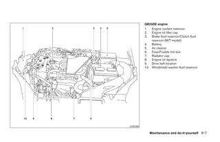 QR25DE engine
          1.  Engine coolant reservoir
          2.  Engine oil filler cap
          3.  Brake fluid reservoir/Clutch fluid
              reservoir (M/T model)
          4. Battery
          5. Air cleaner
          6. Fuse/Fusible link box
          7. Radiator cap
          8. Engine oil dipstick
          9. Drive belt location
          10. Windshield washer fluid reservoir




LDI0588

               Maintenance and do-it-yourself 8-7
 