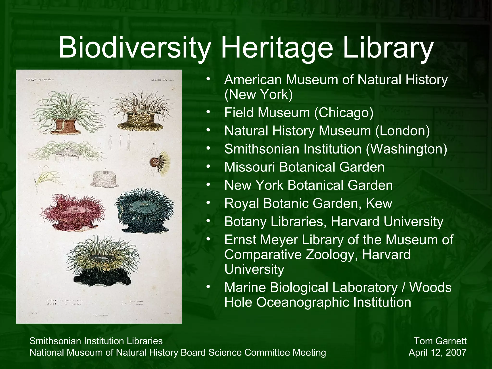 Biodiversity Heritage Library American Museum of Natural History (New York) Field Museum (Chicago) Natural History Museum (London) Smithsonian Institution (Washington)  Missouri Botanical Garden New York Botanical Garden Royal Botanic Garden, Kew Botany Libraries, Harvard University Ernst Meyer Library of the Museum of Comparative Zoology, Harvard University Marine Biological Laboratory / Woods Hole Oceanographic Institution 