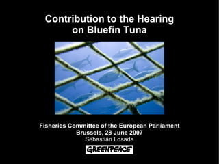 Contribution to the Hearing
      on Bluefin Tuna




Fisheries Committee of the European Parliament
            Brussels, 28 June 2007
               Sebastián Losada
 