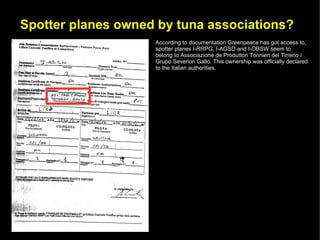 Spotter planes owned by tuna associations?
                    According to documentation Greenpeace has got access to,
                    spotter planes I-RRPG, I-AGSD and I-OBSW seem to
                    belong to Associazione de Produttori Tonnieri del Tirreno /
                    Grupo Severion Gallo. This ownership was officially declared
                    to the Italian authorities.
 