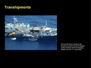 Transhipments




                The purse seiner Vergine del
                Rosario and the Panama flagged
                reefer Daniela while transhiping
                bluefin tuna on 11 June 2007.
 