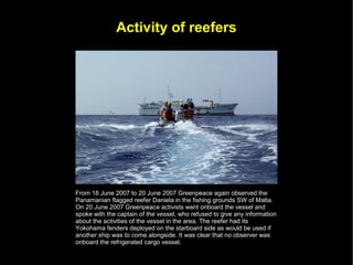 Activity of reefers




From 18 June 2007 to 20 June 2007 Greenpeace again observed the
Panamanian flagged reefer Daniela in the fishing grounds SW of Malta.
On 20 June 2007 Greenpeace activists went onboard the vessel and
spoke with the captain of the vessel, who refused to give any information
about the activities of the vessel in the area. The reefer had its
Yokohama fenders deployed on the starboard side as would be used if
another ship was to come alongside. It was clear that no observer was
onboard the refrigerated cargo vessel.
 