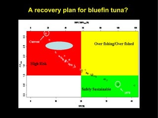 A recovery plan for bluefin tuna?
 