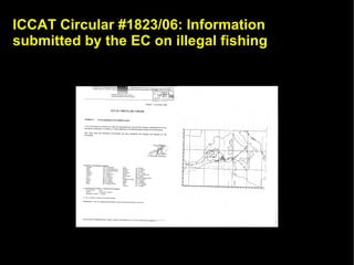 ICCAT Circular #1823/06: Information
submitted by the EC on illegal fishing
 