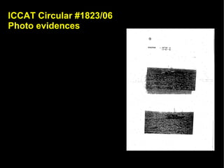 ICCAT Circular #1823/06
Photo evidences
 