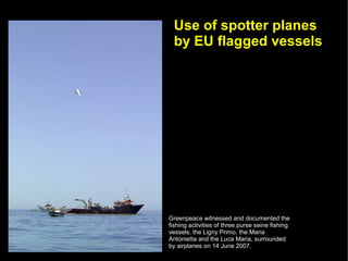 Use of spotter planes
 by EU flagged vessels




Greenpeace witnessed and documented the
fishing activities of three purse seine fishing
vessels, the Ligny Primo, the Maria
Antonietta and the Luca Maria, surrounded
by airplanes on 14 June 2007.
 