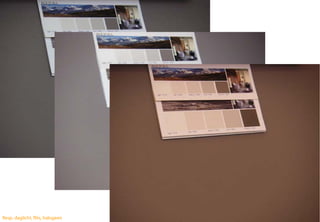 Resp. daglicht, flits, halogeen   42
                                  42
 