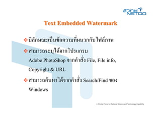 Text Embedded Watermark
มีลักษณะเปนขอความที่ผนวกกับไฟลภาพ
สามารถระบุไดจากโปรแกรม
Adobe PhotoShop จากคําสั่ง File, File info,
Copyright & URL
สามารถคนหาไดจากคําสั่ง Search/Find ของ
Windows
 