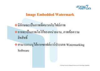 Image Embedded Watermark
มีลักษณะเปนภาพที่ผนวกกับไฟลภาพ
อาจจะเปนภาพโลโกของหนวยงาน, ภาพขอความ
ลิขสิทธิ์
สามารถระบุไดจากซอฟตแวรประเภท Watermarking
Software
 
