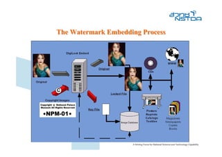 The Watermark Embedding Process
 